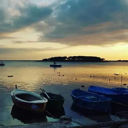 B&B Fior di Mare Porto Cesareo Esterno foto